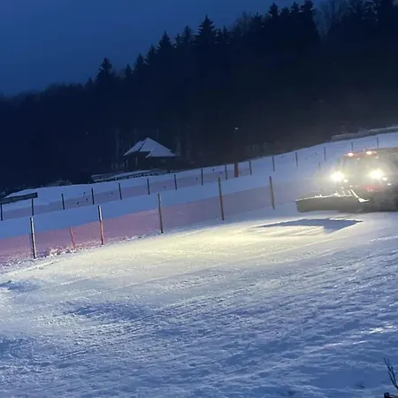 Am Skihang * Altenberg (Osterzgebirge)